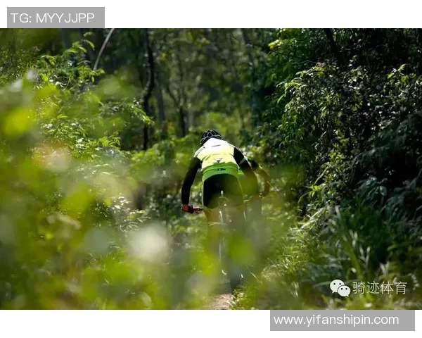 武汉极限运动队实力强劲荣登全国力量排行榜第八位