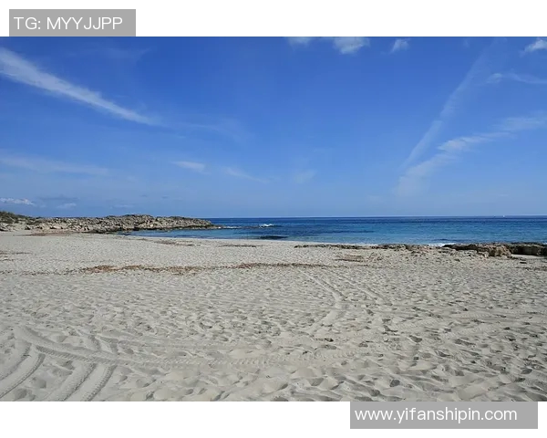 畅游夏日海滩，挑选最适合你的泳装，尽享清凉与自信